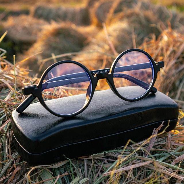 eyeglass